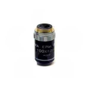 OBJETIVO 100x CONTRASTE FASES