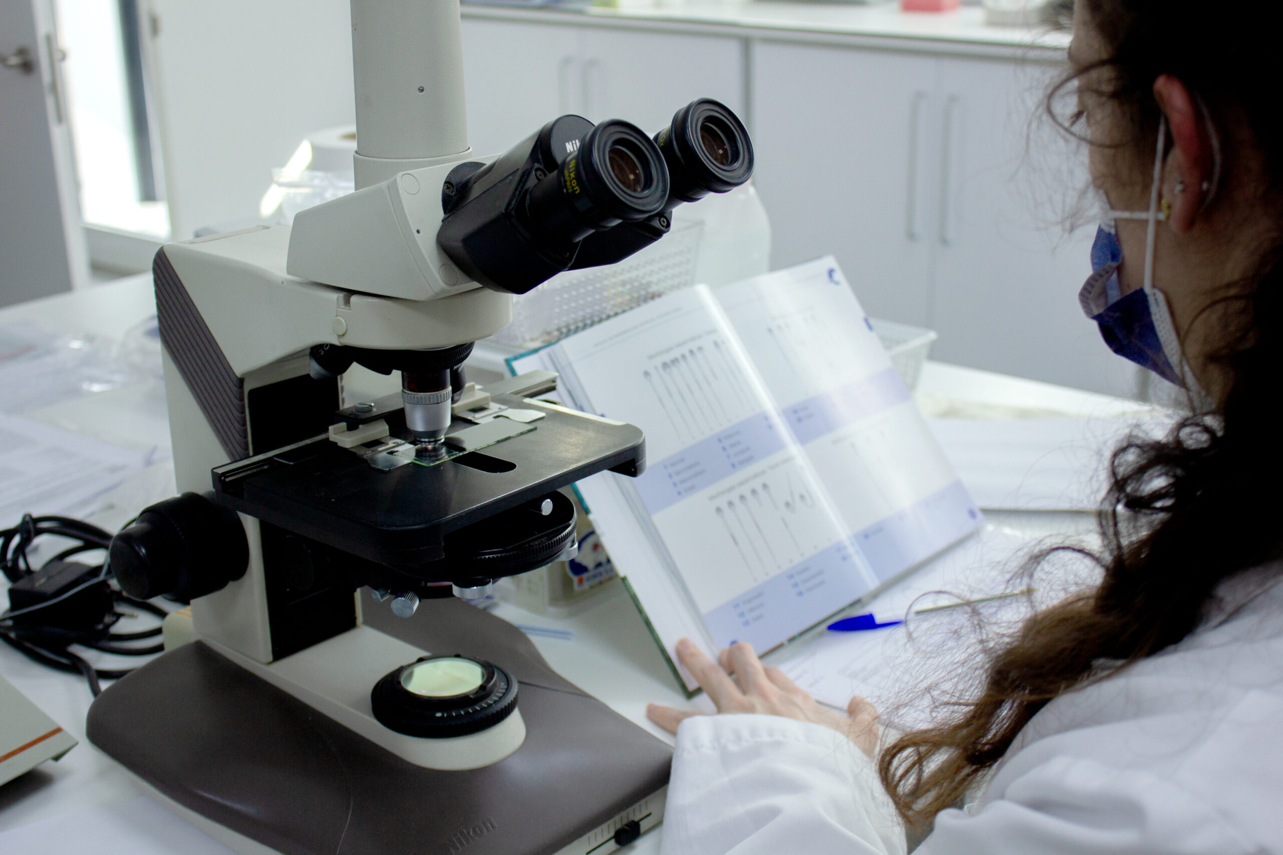 Training course in canine reproduction